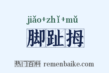 脚趾拇是什么意思的图片